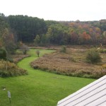 View from behind the Barn